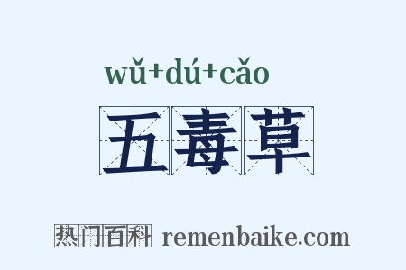 五毒草是什么意思的图片